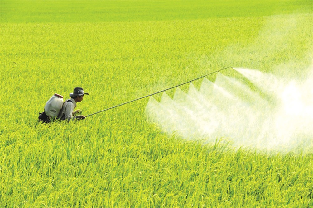 bari-clorua-bacl2-2h2o-99-trung-quoc Ứng dụng của Barium chloride BaCl2 trong sản xuất thuốc trừ sâu