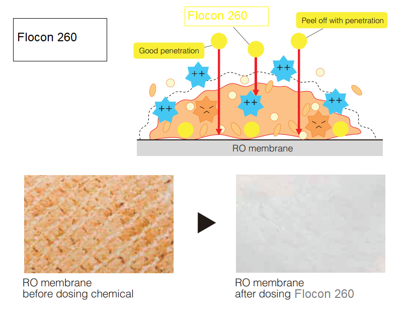 hoa-chat-chong-cau-can-flocon-260-3 hoa-chat-chong-cau-can-flocon-260-3